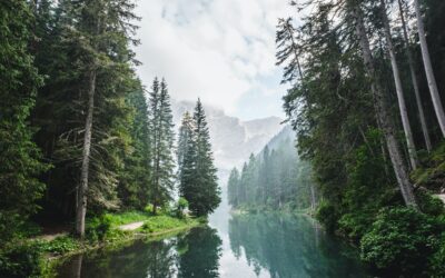 EHW Italia a BIO 360 2026 &ndash; Vieni a trovarci allo Stand G21