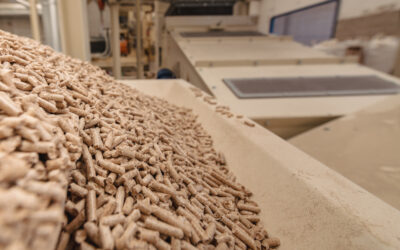 Il Viaggio dei Pellet: Dalla Macchina per Pellet alla Sostenibilit&agrave;