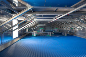 Essiccatori a Nastro per Pellet e altri Materiali - foto6