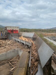 Decortecciatrici e Scortecciatori per Tronchi - foto4