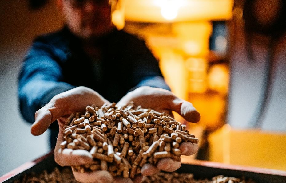 EHW Italia participera &agrave; Expobiomasa en mai